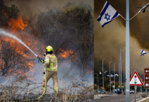 इजरायल के जंगलों में लगी भीषण आग, हजारों लोग घर छोड़ने को मजबूर
