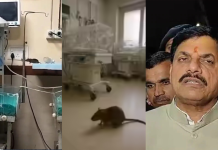 मध्य प्रदेश में बदहाल स्वास्थ्य व्यवस्था,  सरकारी अस्पताल में चूहे के काटने से 2 नवजात की मौत